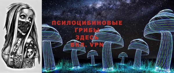 крисы Армянск