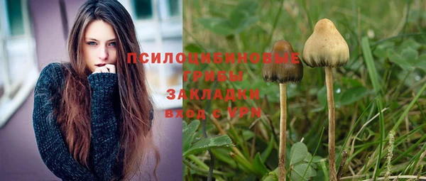 каннабис Арсеньев