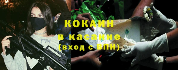 крисы Армянск